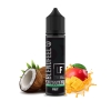 Blendfeel - Mangonaut (Mango, kokos) - Shake and Vape